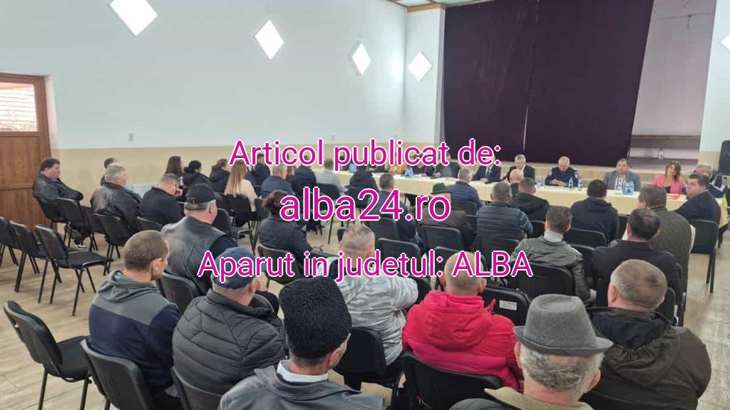alba24.ro-frmabintl-20251030204313.jpeg