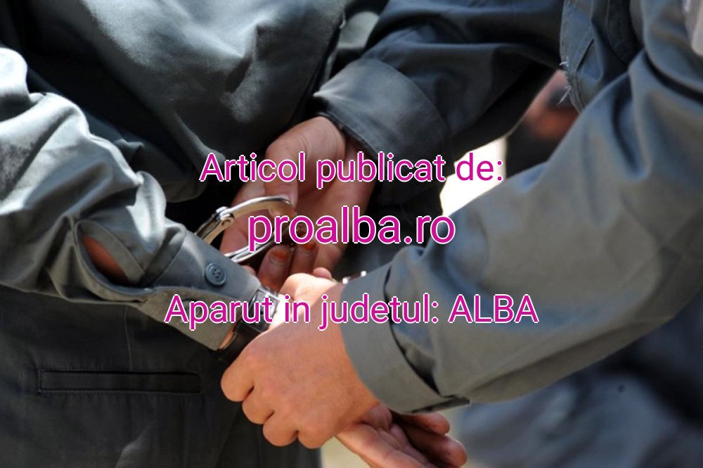 proalba.ro-patron-agenrie-20251031133118.jpg